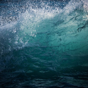 野外树林老汉XXXHD
