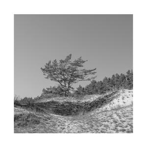 野外树林老汉XXXHD
